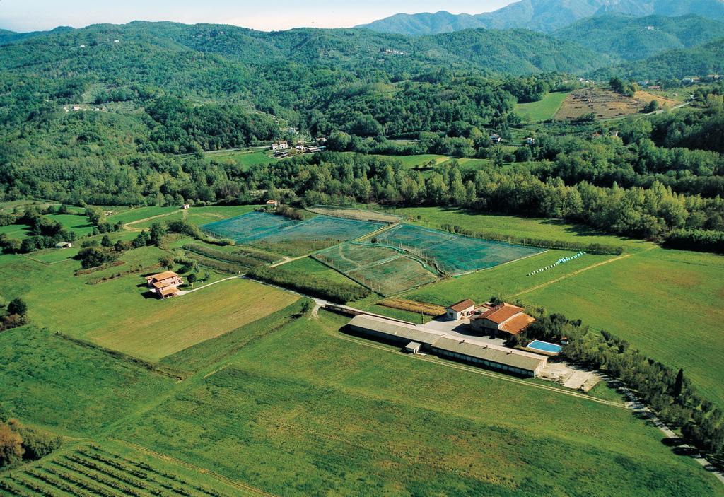 Agriturismo La Praduscella Fivizzano Exterior foto